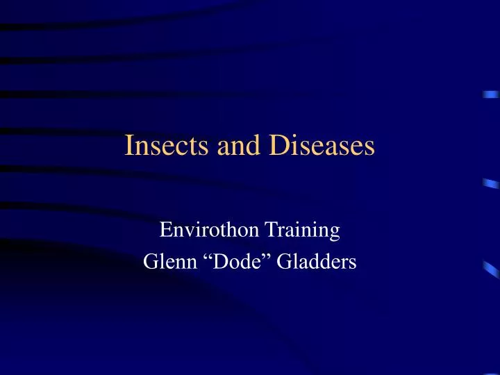 insects and diseases