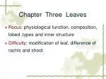 Chapter Three Leaves - slide 1