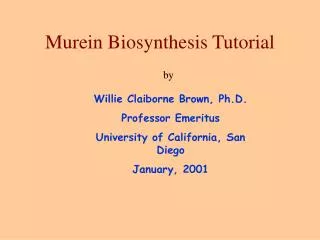 Murein Biosynthesis Tutorial