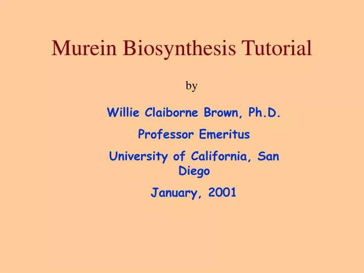 murein biosynthesis tutorial