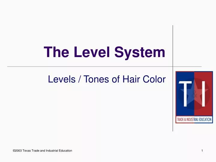 the level system