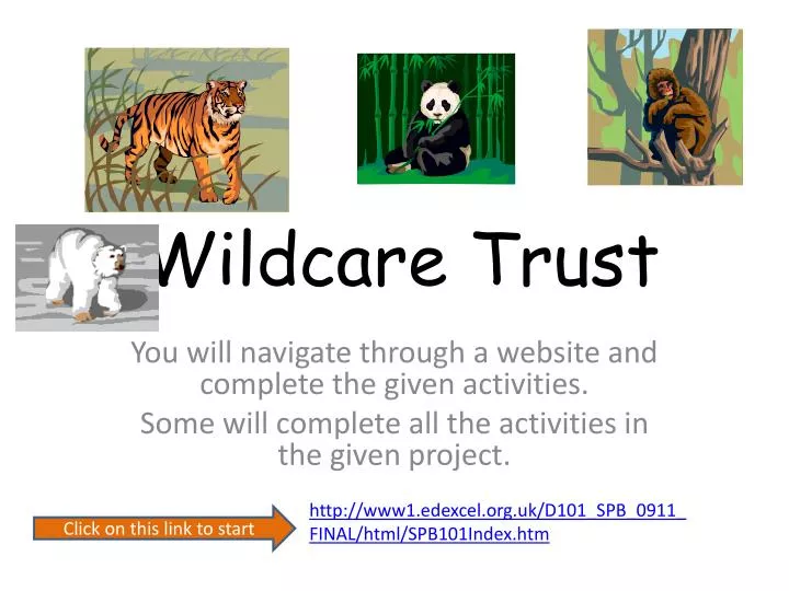 wildcare trust