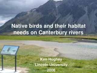 Native birds and their habitat needs on Canterbury rivers