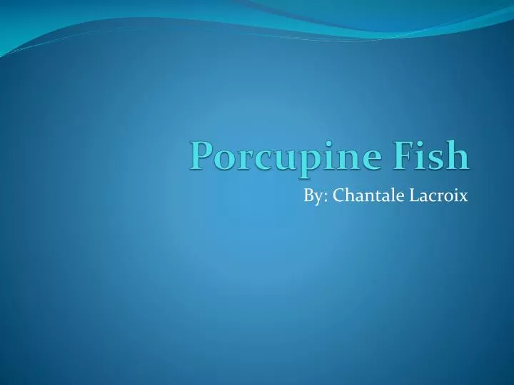 porcupine fish