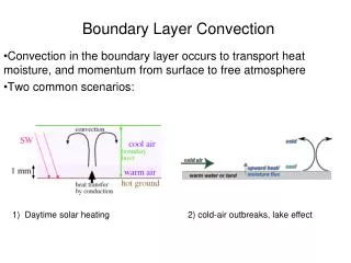 Boundary Layer Convection