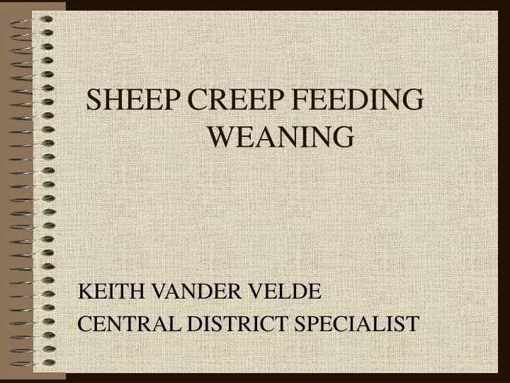 sheep creep feeding weaning