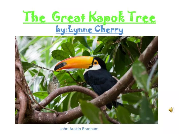 the great kapok tree by lynne cherry