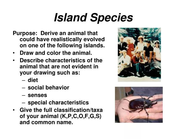 island species