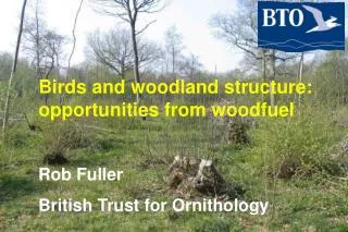 Birds and woodland structure: opportunities from woodfuel