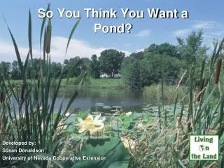 So You Think You Want a Pond?