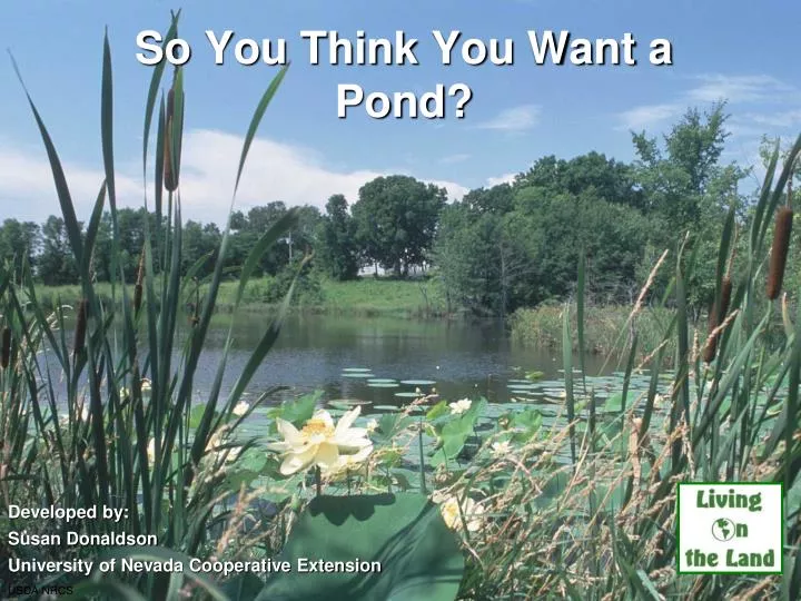 so you think you want a pond