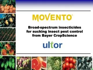 Broad-spectrum insecticides for sucking insect pest control from Bayer CropScience