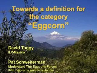 Towards a definition for the category “ Eggcorn ”
