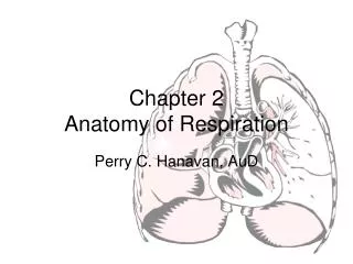 Chapter 2 Anatomy of Respiration
