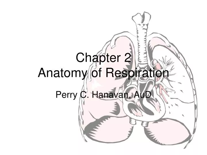 chapter 2 anatomy of respiration