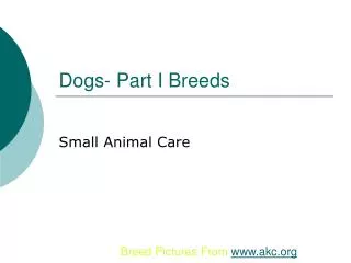 Dogs- Part I Breeds