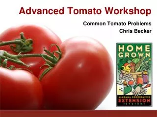 Advanced Tomato Workshop
