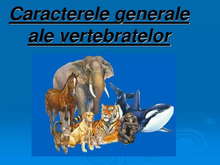 caracterele generale ale vertebratelor