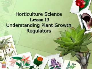 Horticulture Science Lesson 13 Understanding Plant Growth Regulators