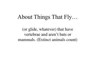 About Things That Fly…