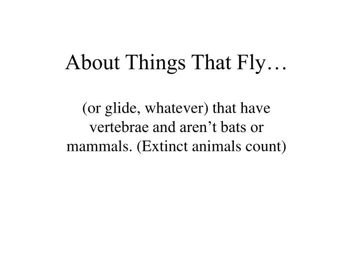 about things that fly