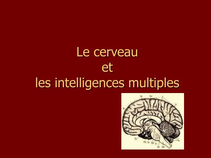 le cerveau et les intelligences multiples