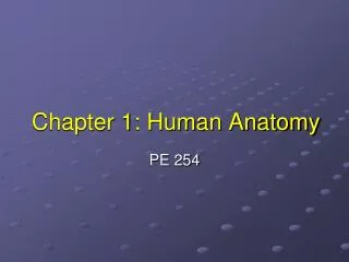 Chapter 1: Human Anatomy