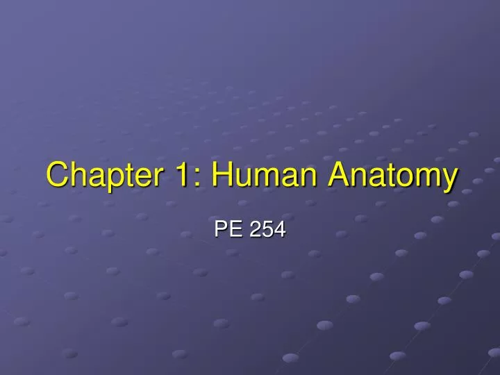 chapter 1 human anatomy
