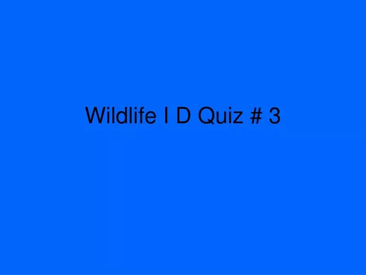 wildlife i d quiz 3