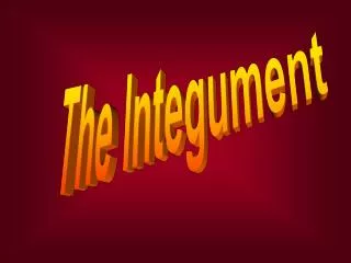 The Integument