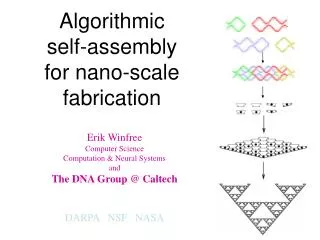 Algorithmic self-assembly for nano-scale fabrication