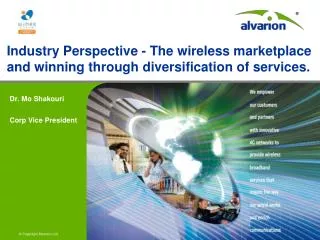 Industry Perspective - The wireless marketplace and winning through diversification of services.