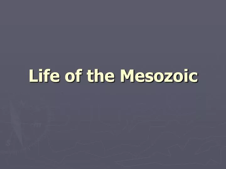 life of the mesozoic