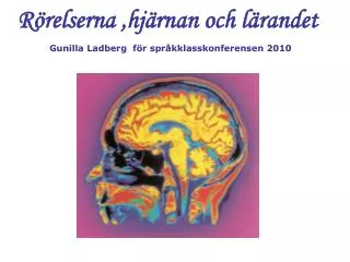 Rörelserna ,hjärnan och lärandet Gunilla Ladberg för språkklasskonferensen 2010
