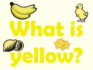 What is yellow?