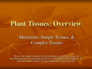 Plant Tissues: Overview