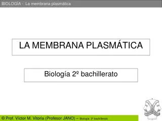 la membrana plasm tica