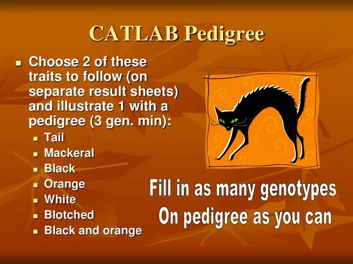 catlab pedigree
