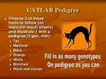 CATLAB Pedigree - slide 1