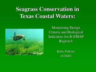 Seagrass Conservation in Texas Coastal Waters: