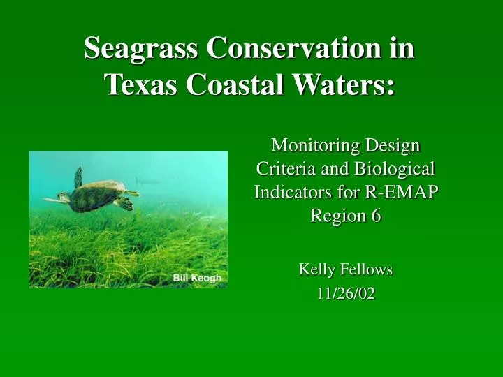 seagrass conservation in texas coastal waters