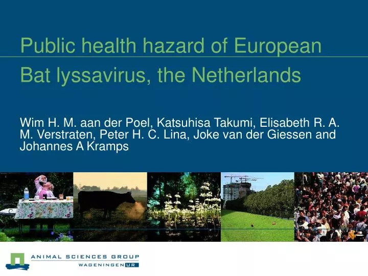 public health hazard of european bat lyssavirus the netherlands