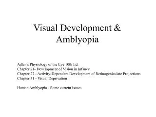 Visual Development &amp; Amblyopia