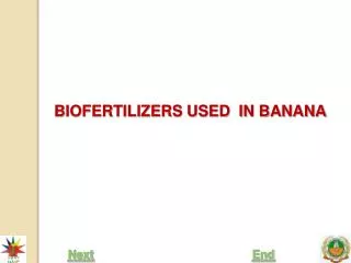 BIOFERTILIZERS USED IN BANANA