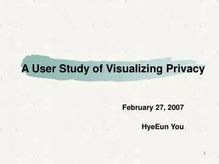 A User Study of Visualizing Privacy