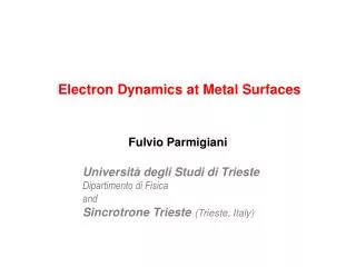 Electron Dynamics at Metal Surfaces