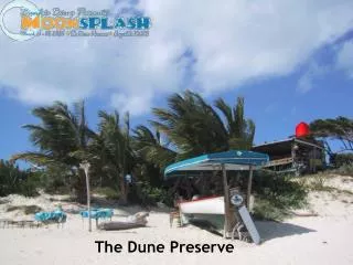 The Dune Preserve