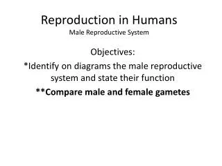 Reproduction in Humans Male Reproductive System