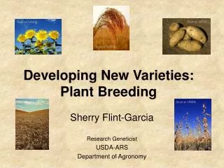 Developing New Varieties: Plant Breeding