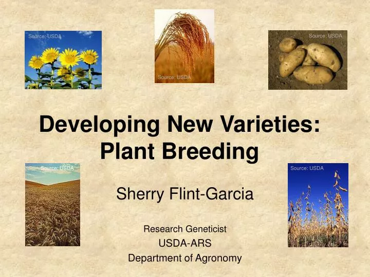 developing new varieties plant breeding